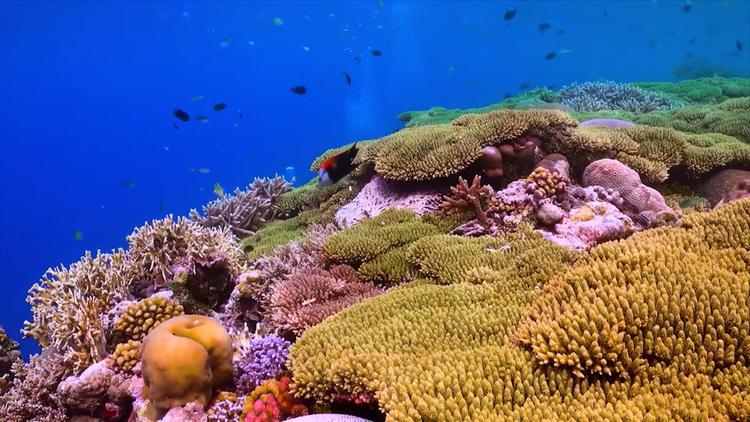 XNXZYB43XVH2HCKC25AHYIAAEQ