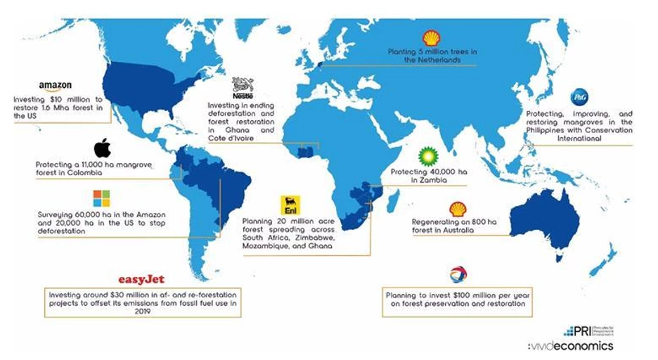 11c77a_ba05edd417c74c92acd2c7a38e6150e3_mv2