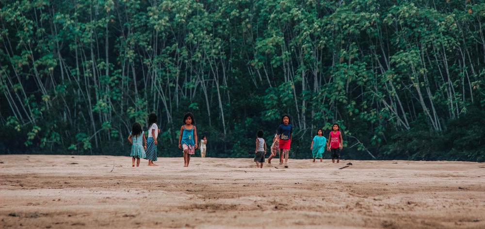 comunidad biodiversidad