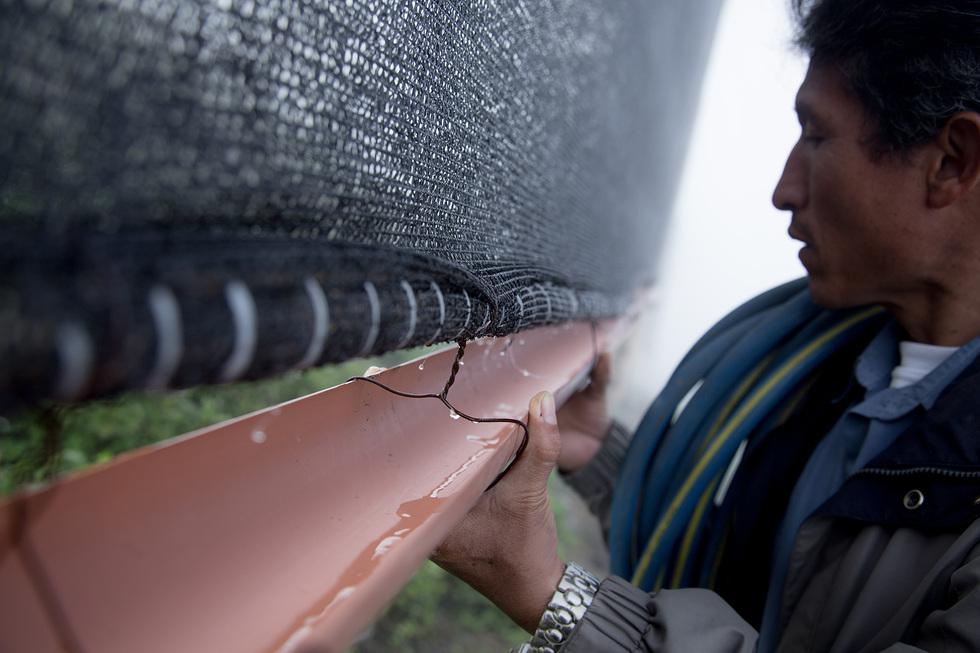 1475618755_147561_1475618755_007_sumario_normal