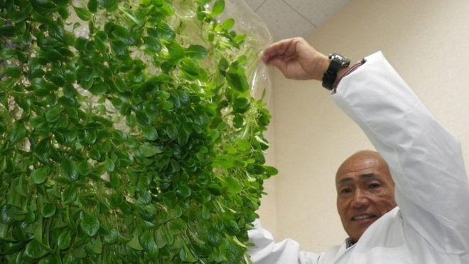 108913326_b90fe273-6296-4e0f-aa05-9f7a0aedf2a9