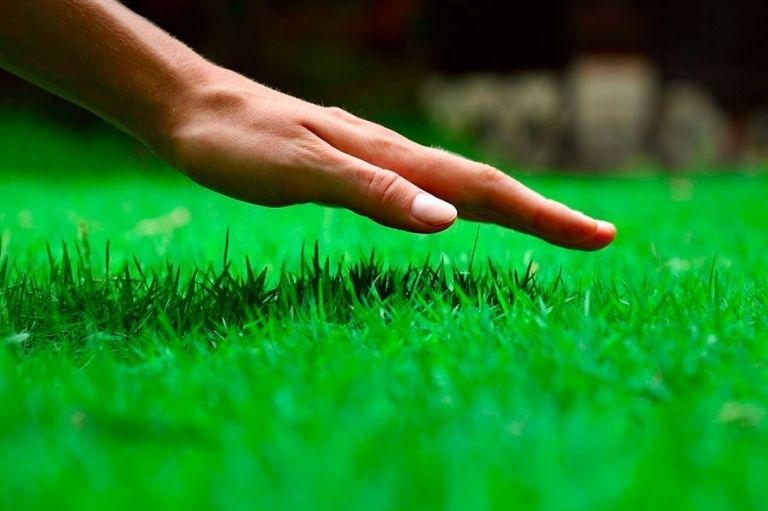 f768x1-1034746_1034873_5050