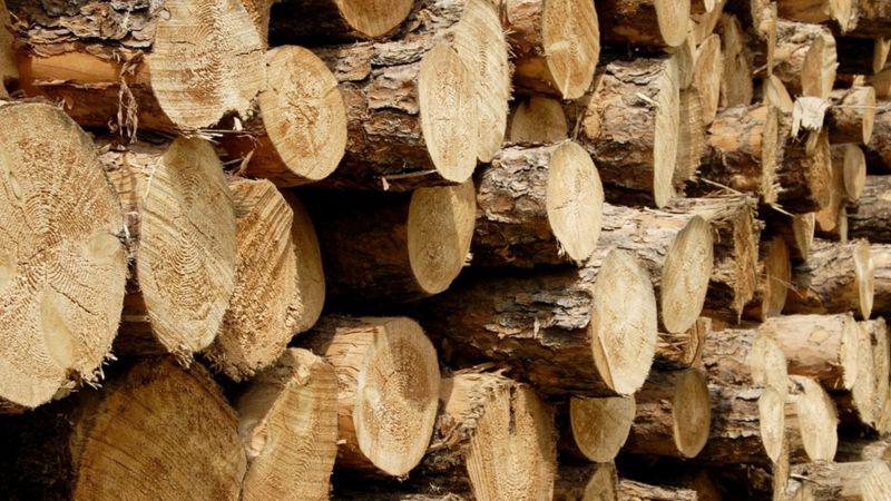 _128222458_gettyimages-184115237