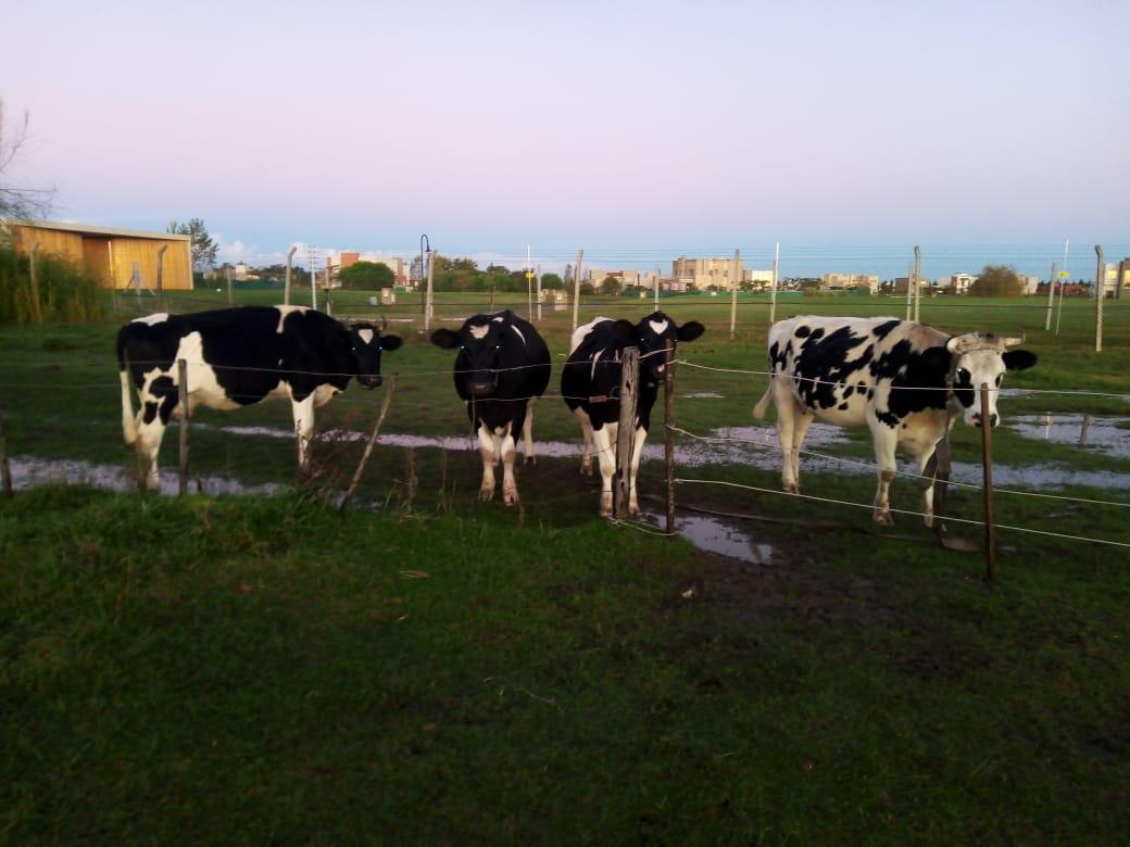 WhatsApp-Image-2020-07-17-at-10.17.19-2