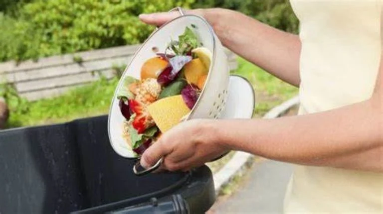 f768x1-1482167_1482294_0