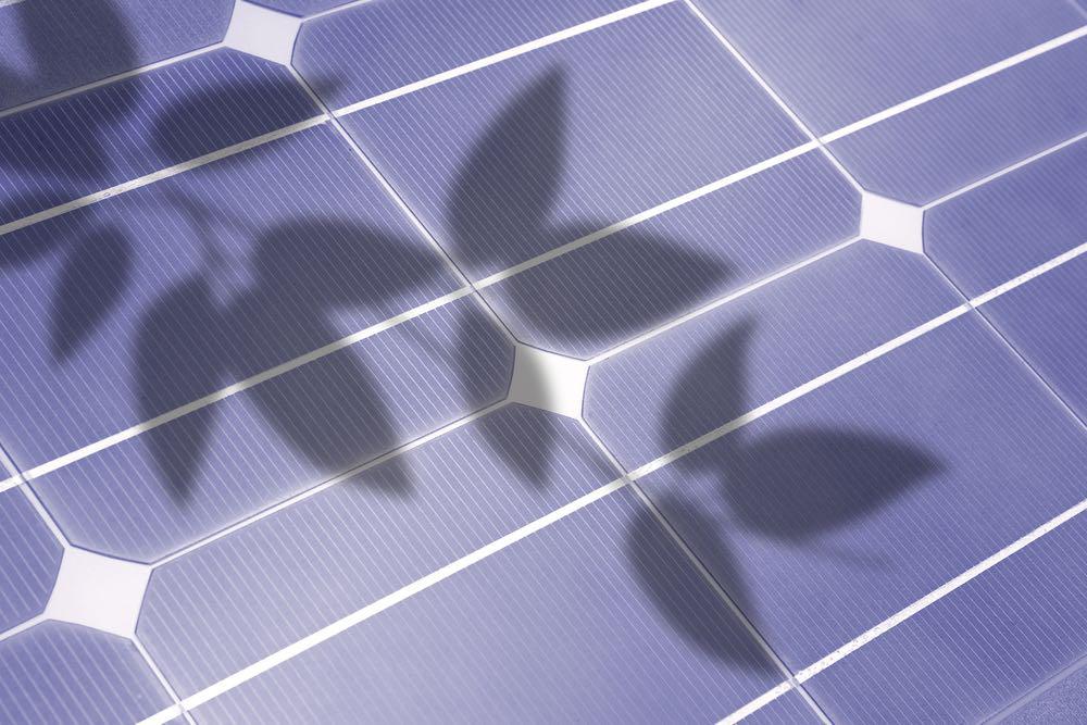 Sombras-paneles-fotovoltaicos