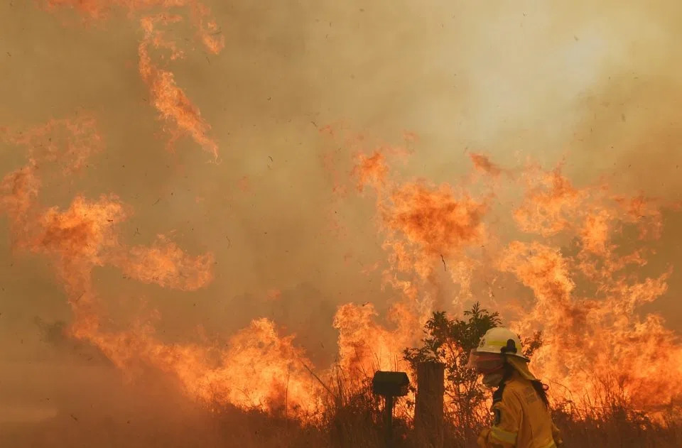 NINTCHDBPICT000539375235-e1573652758834