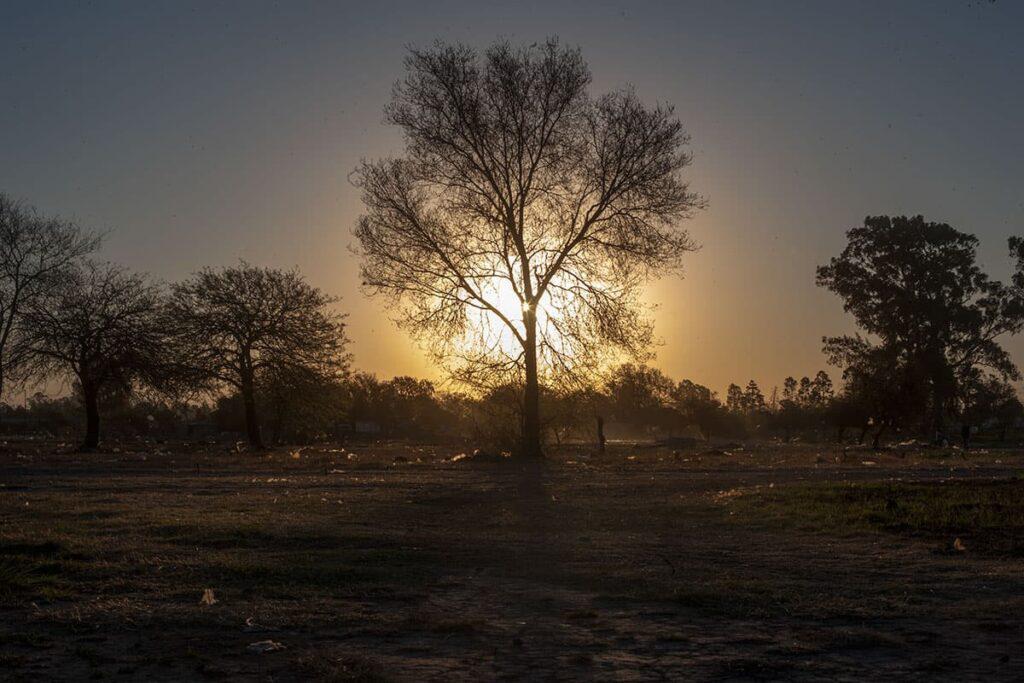ley-de-bosque-02-1024x683