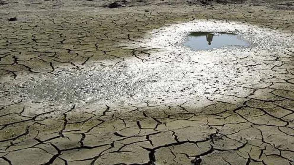 GP4WZ6NKTZFP5BRRRQQGLMDOGI