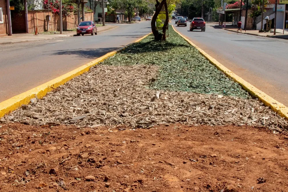 Mejoramiento-del-suelo-2