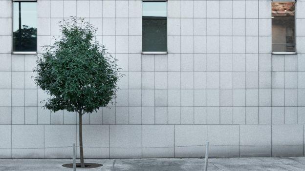 _112100879_gettyimages-842476002