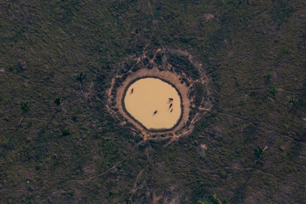 00brazil-smoke--03-jumbo