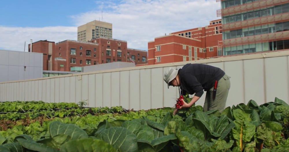 Boston-Medical-Center2