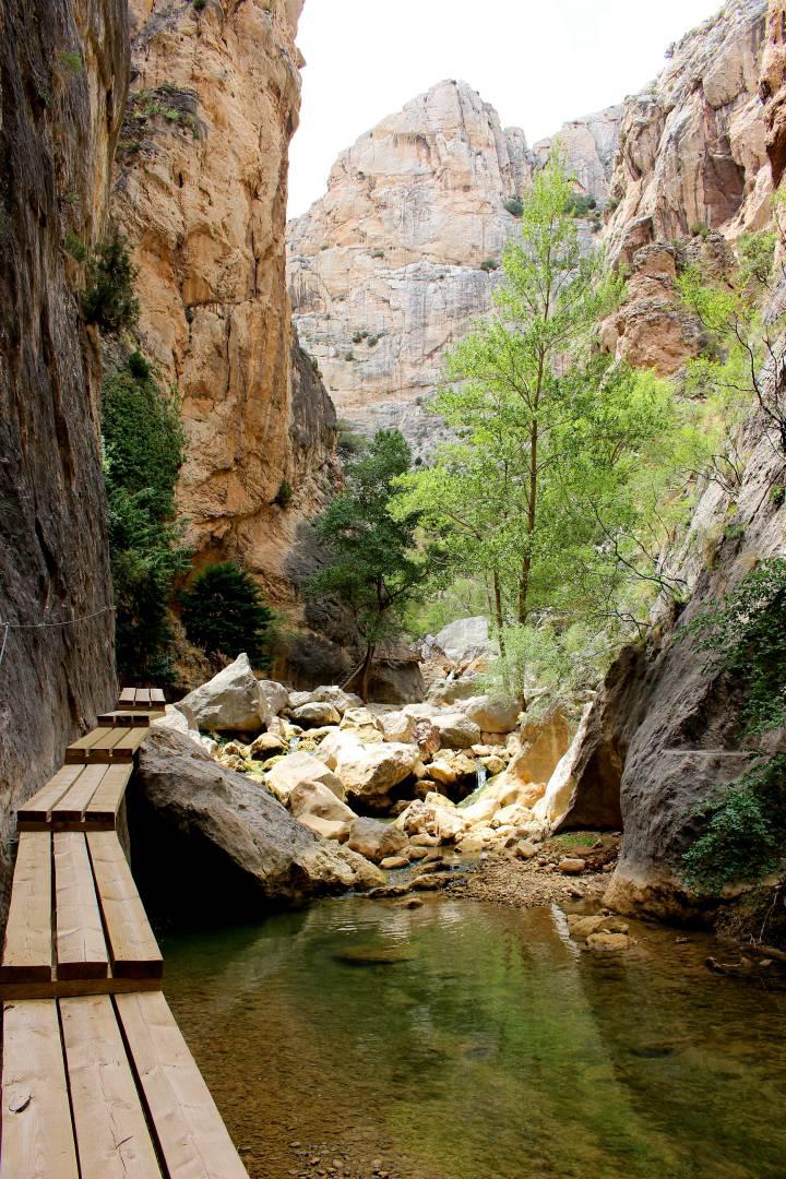 1582799291_408074_1582809301_sumario_normal_recorte1