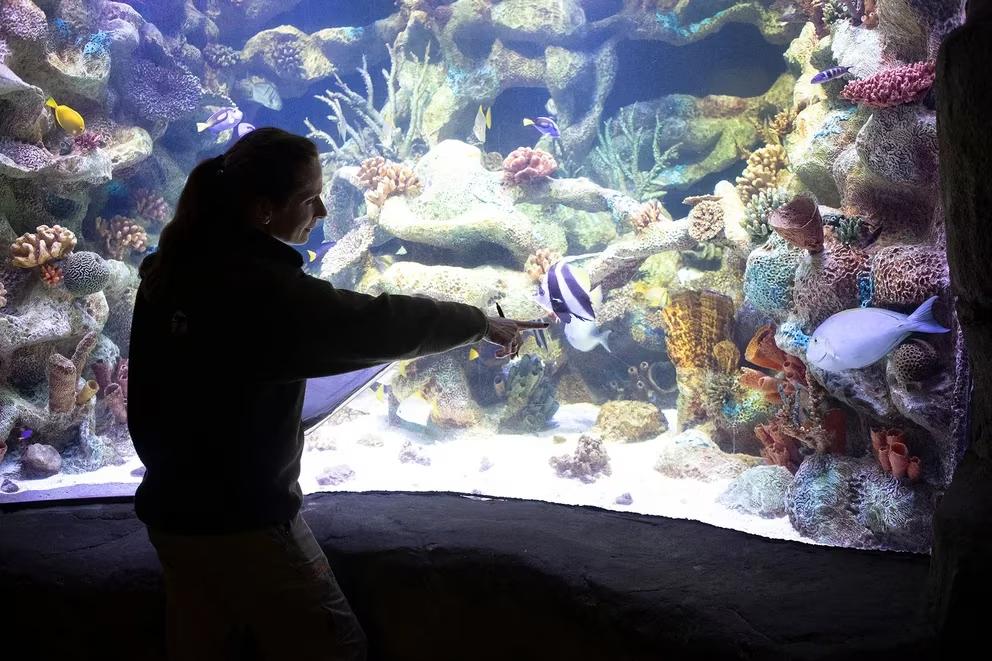 2AAEYC2NL5AWVJP5KC3VF7J4TA