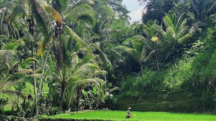 gentileza-uneporg-889671-105342