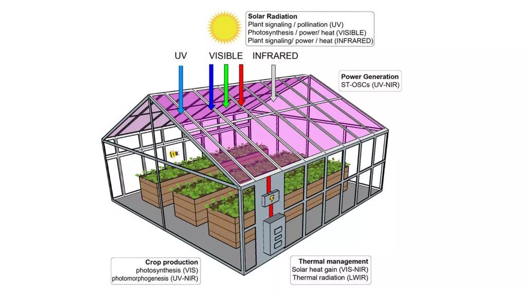 xOConnor-greenhouse-2021-HEADER-1024x576.jpg.pagespeed.ic.ruxd11FMmG