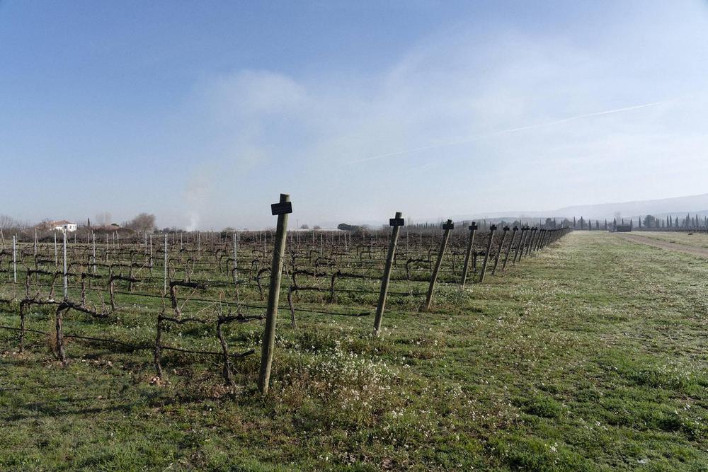 1591716076_035335_1591967160_sumario_normal_recorte1