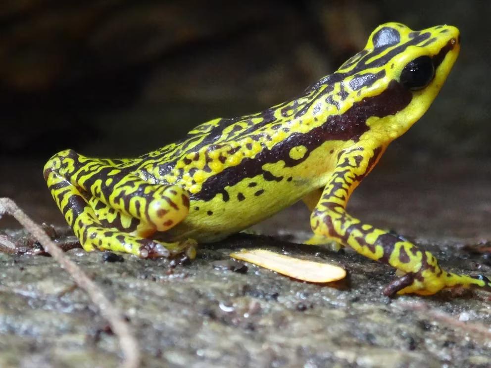 WEXQLFPW6REA5N6I2HVZ6WEIXU