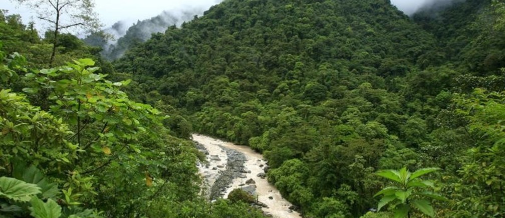 large_INVobXx11M5PEmbkUTmTuv15_nUgzW1cd8jDPPOIapE