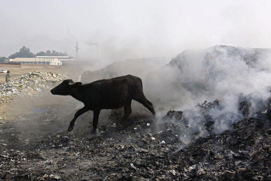 4VPX5QF67RFXRPSH5UU3ULRSBU