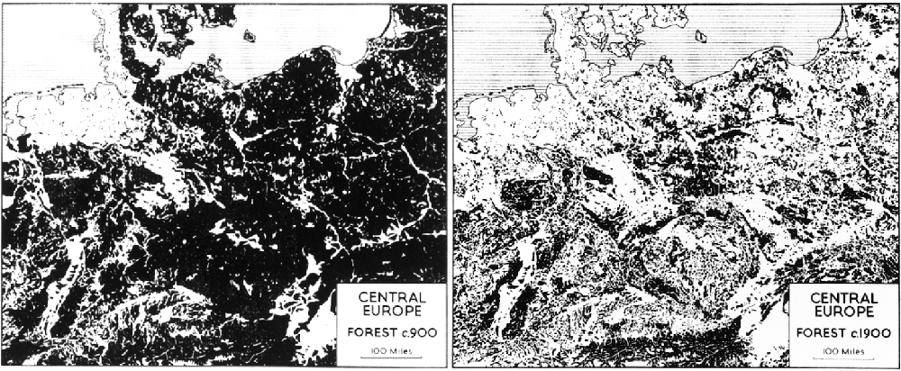 masa-forestal-europa-central-900-vs-1900
