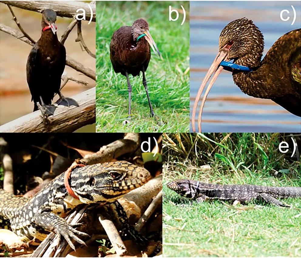 OHR5EP2KKJFU5FOBKR243YZQP4