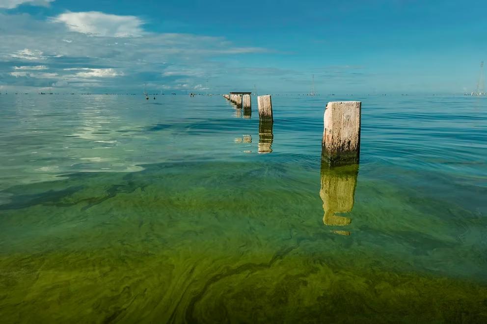 IMWNU6SNXZCFLCICWL6PG5FO7U