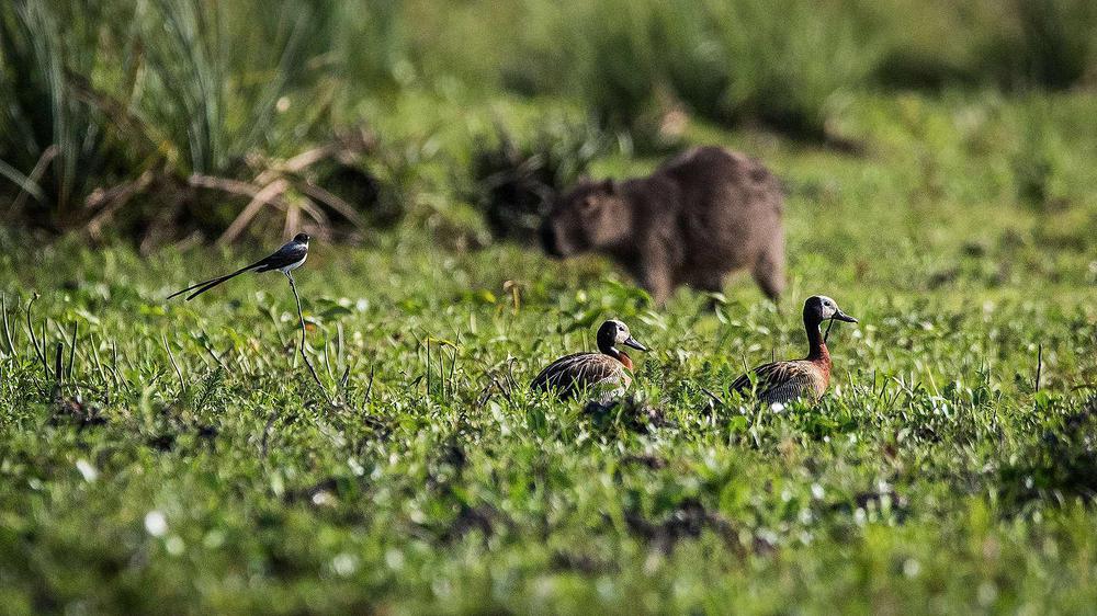 3c712da8-2-eduardo-bodino-40-1536x864