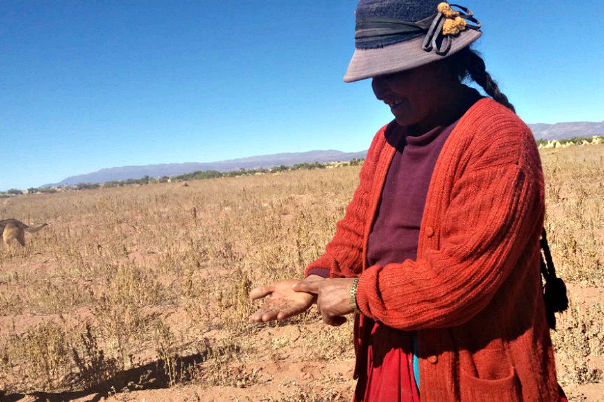 sequias-pueblos_indigenas-desastres-Bolivia-1-949x600