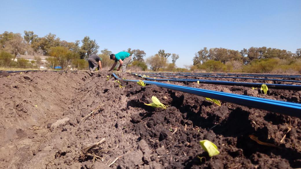 WhatsApp-Image-2020-10-01-at-21.16.53