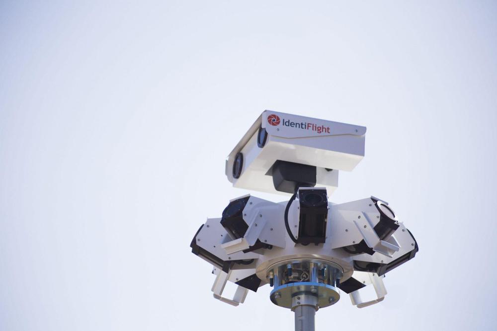 identiflight-1-2048x1366