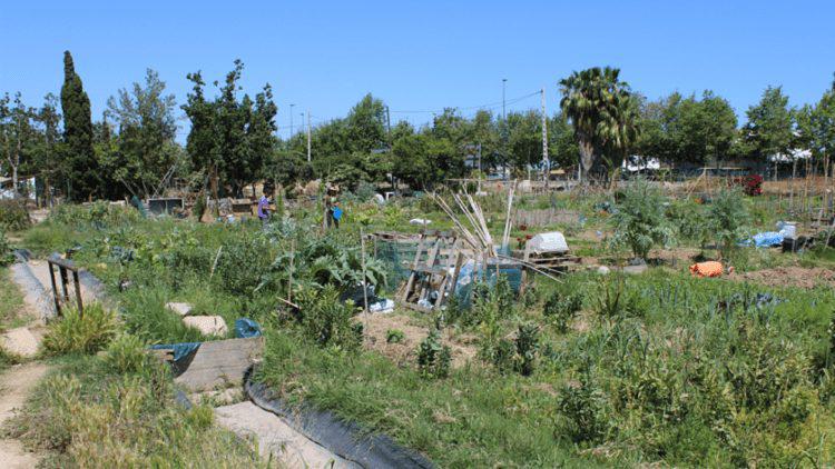 img_randres_20160523-180601_imagenes_lv_propias_randres_huerta-460-kQ0D-U401989452367fXF-992x558@LaVanguardia-Web