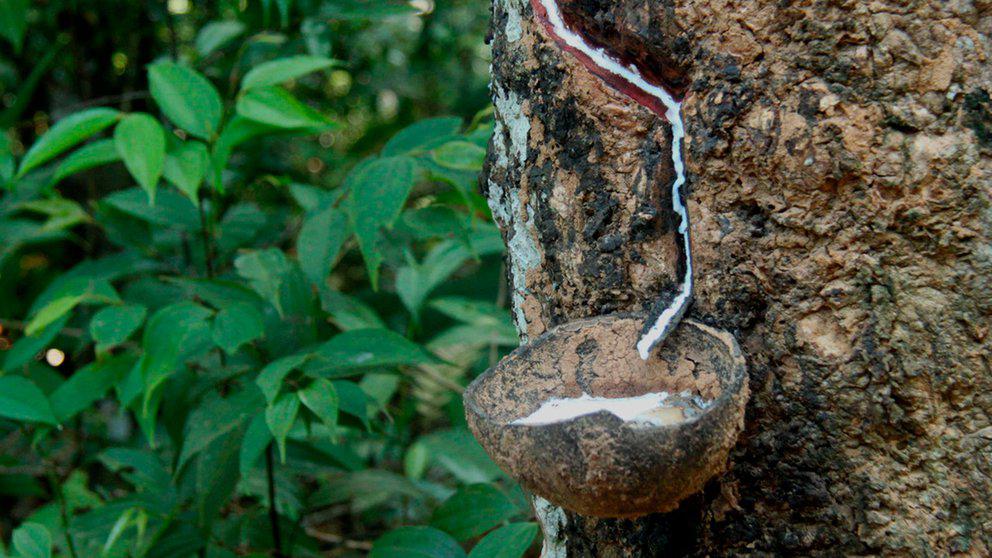 US553XSLN5DKLDRGTAUE6LXDWQ