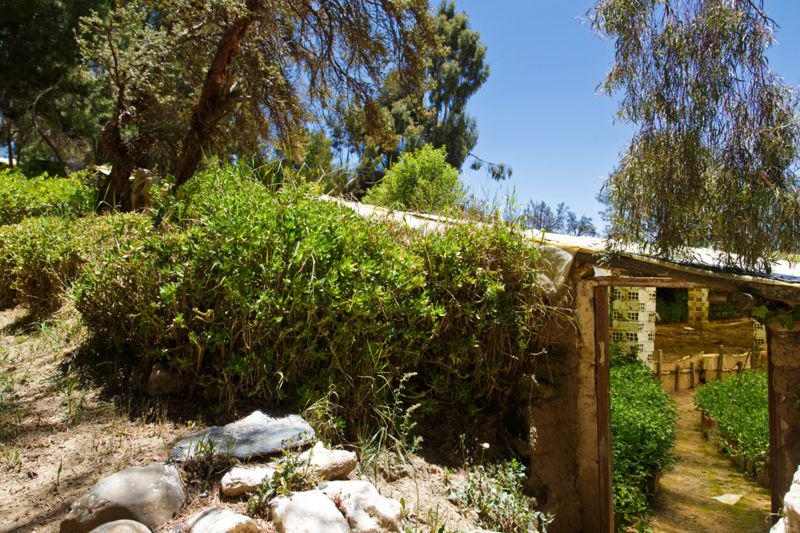 _101663115_walipiniventilla