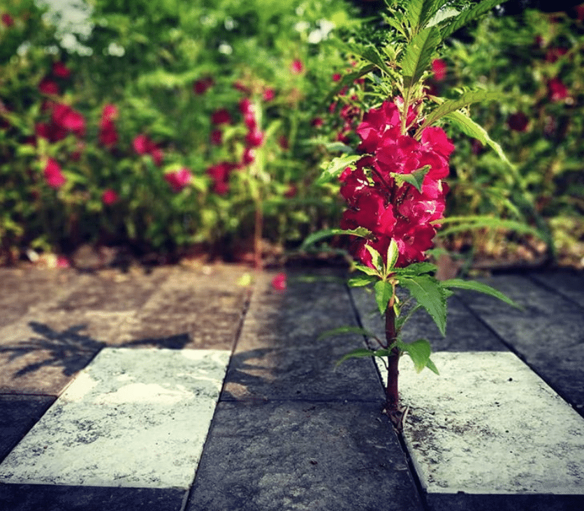 Captura-de-Pantalla-2020-06-26-a-las-13.47.41