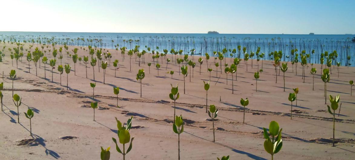 image1170x530cropped