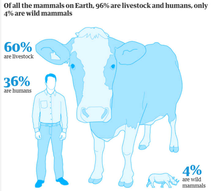 11c77a_04eb5ab8c584433db5ee5b1ddc086984_mv2