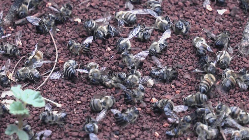 GMJQLWXJK5FQNLCJMLT7OONR6U