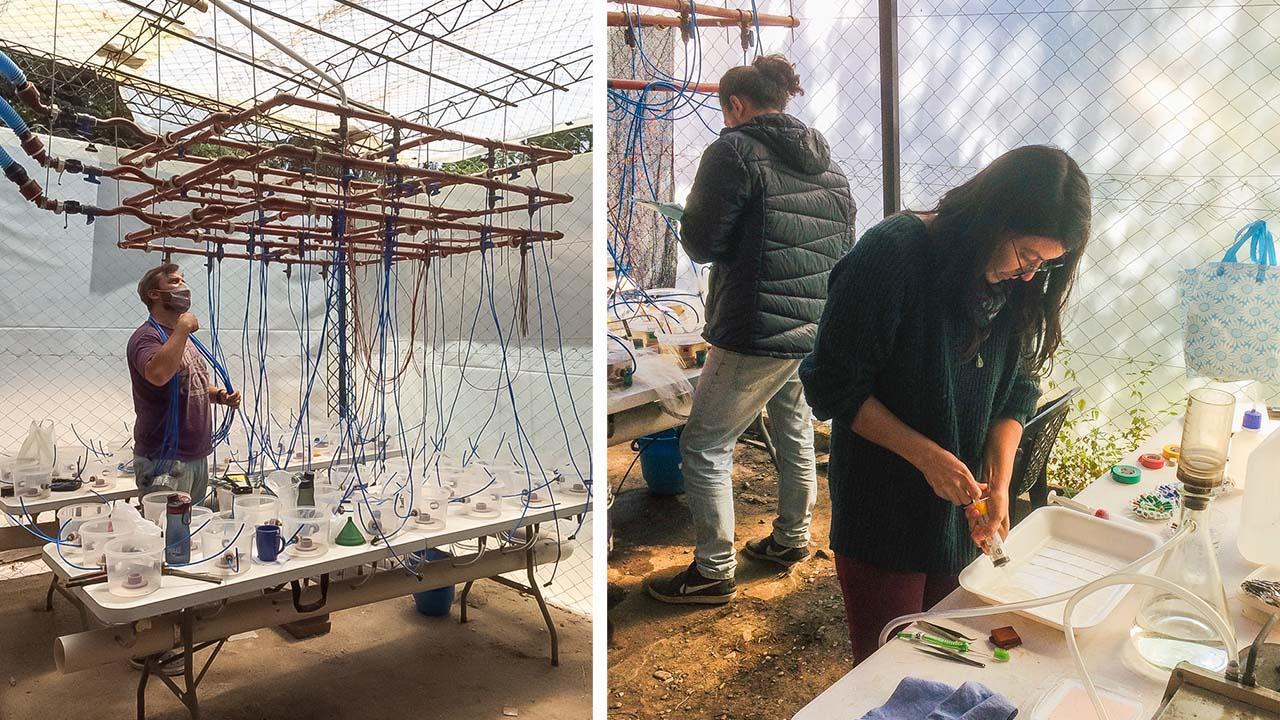 foto-tomada-de-noasurconicetgovar-940950-165458