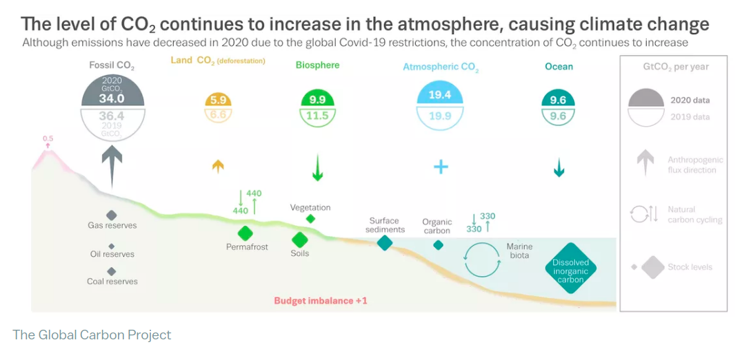 b8d713_a5d6959bc7c74a9e91ef5cbbe4e0e568_mv2