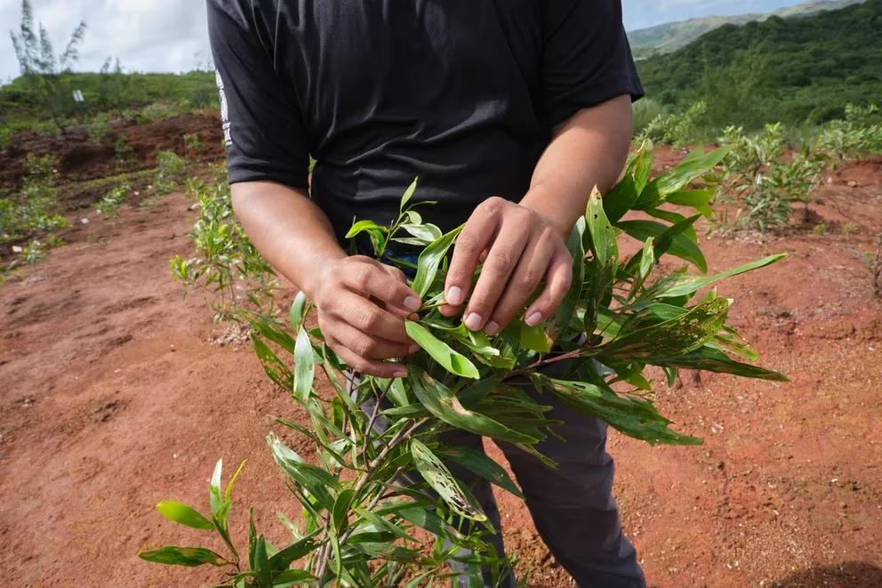 L5JPZIJ4ONFD5I7LSJHBJ527SA