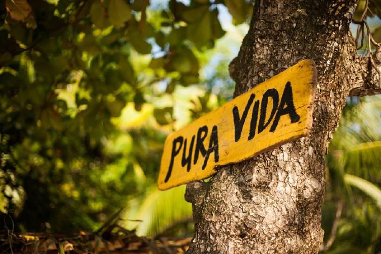 1570729663_archive_shutterstock_120094981_rz750