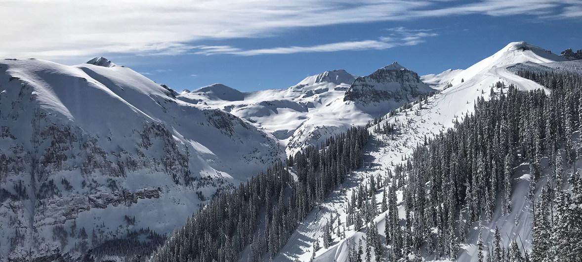 image1170x530cropped (2)