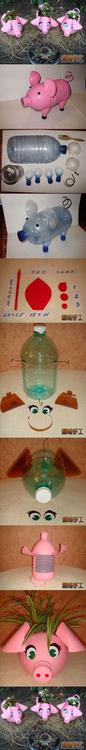 haz_un_puerco_maceta_foto_zszywka_pl.jpg_109584426