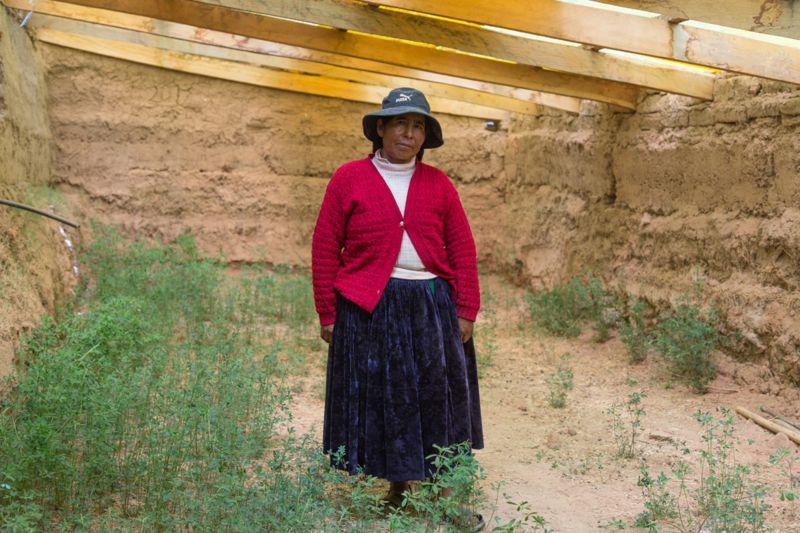 _101663111_victoriamamanedentrodewalipini