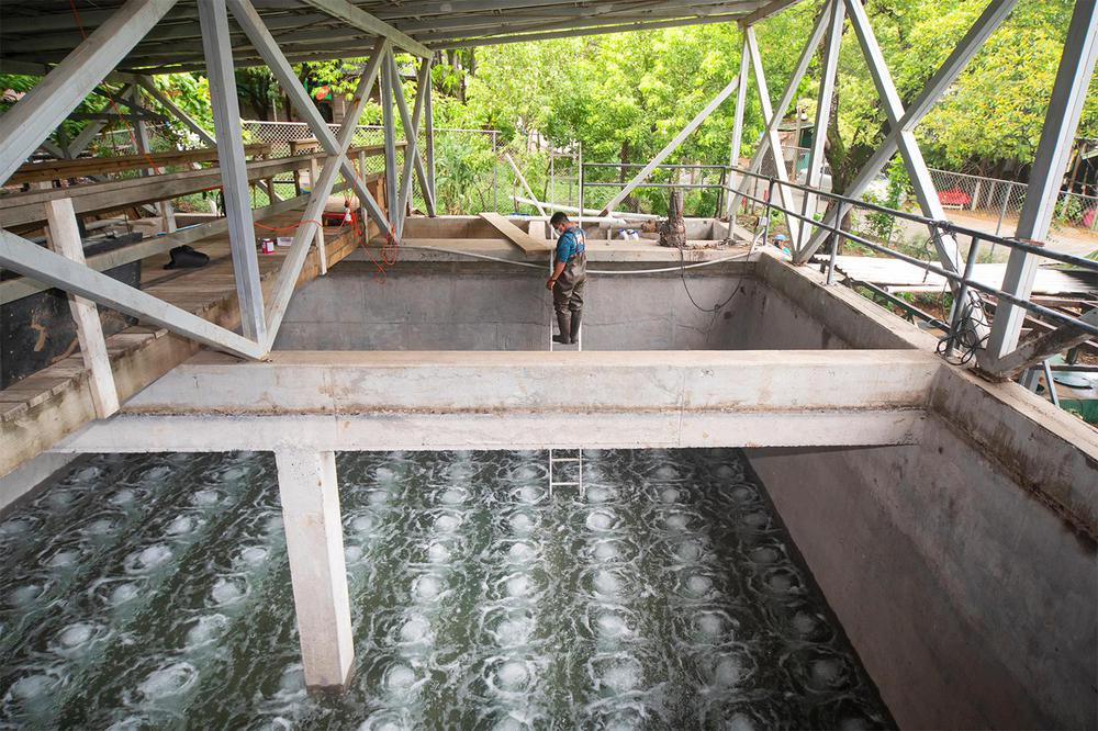 2-Polos-Water-Treatment-Plant-in-Half-Moon-Bay-in-Roatan-Honduras-pollution