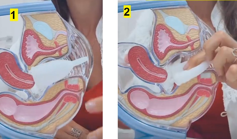 _124076737_f01801e6-e4c9-48b5-91ef-c7112f59342b