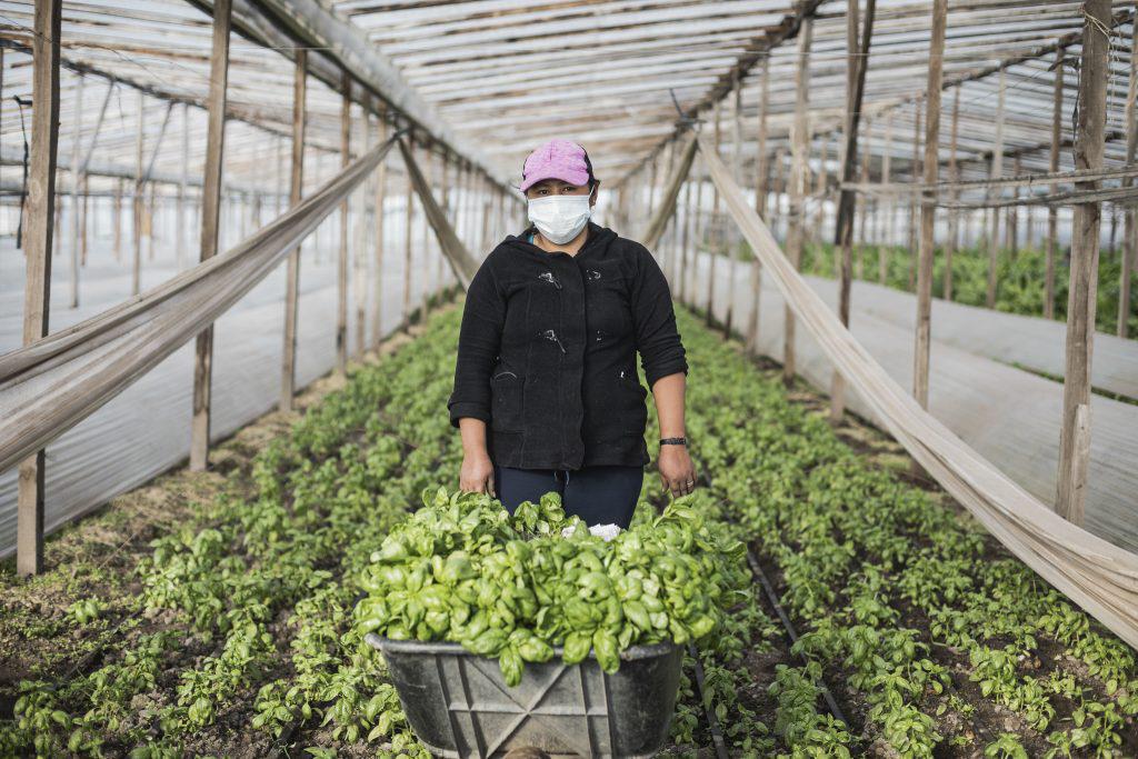 productorxs3xx-1024x683