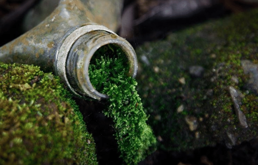 Captura-de-Pantalla-2020-06-26-a-las-13.51.19